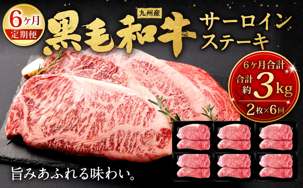 【6ヶ月定期便】 九州産 黒毛和牛 サーロインステーキ 合計約3kg (約250g×2枚×6回)