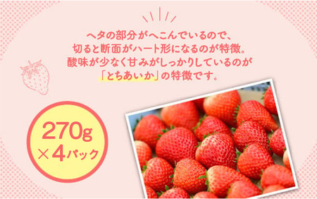 【先行予約】いちご　とちあいかセット　290g×4パック（1.1kg以上） ※着日指定不可 ※2024年1月上旬～5月下旬頃に順次発送予定
