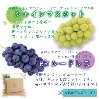 岡山　花笑み農園の『シャインマスカット＆BKシードレス』2kg　BS-2優【9月下旬～順次発送】【配送不可地域：離島】