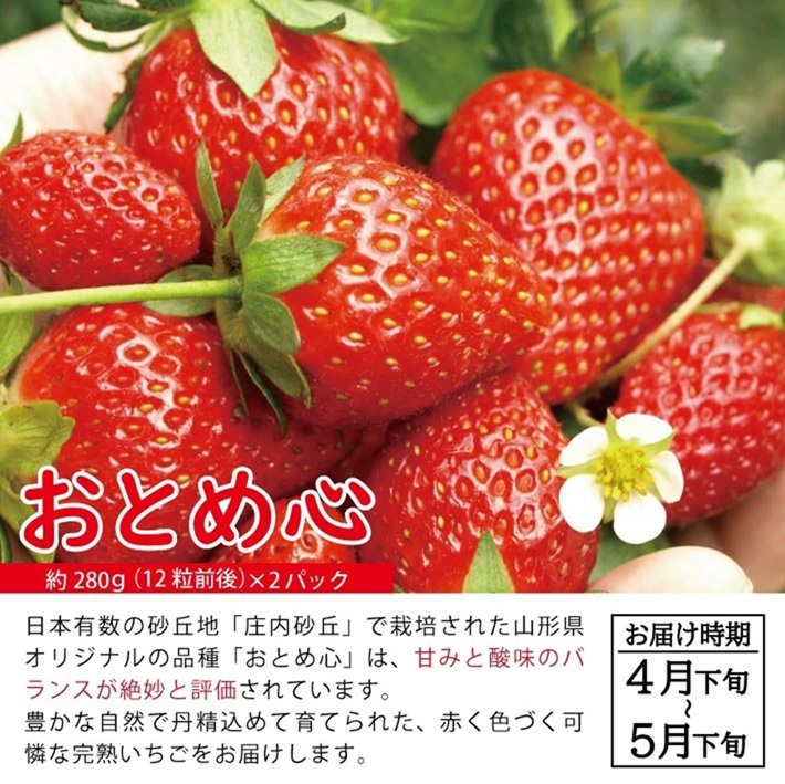 SC0628　【3回定期便】自然の恵み　春・夏・秋フルーツ定期便2026 (いちご、青肉メロン、柿)