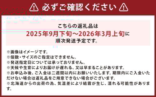 【訳あり】北海道産 じゃがいも 男爵 M～2Lサイズ混載 約10kg 1箱 山田農場 ジャガイモ 芋 いも イモ 訳アリ わけあり ワケアリ 国産 【2025年9月下旬-2026年3月上旬迄発送予定】