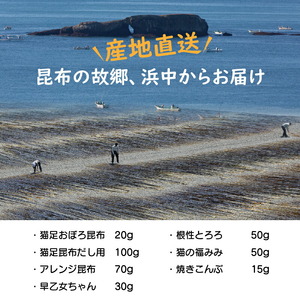 まるごと昆布セットA　昆布 セット 猫足おぼろ昆布 20g 猫足昆布だし用 出汁 100g アレンジ昆布 70g 早乙女ちゃん 30g 根性とろろ とろろ 猫の福みみ 50g 焼きこんぶ 15g こん
