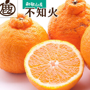 ［先行予約］厳選 不知火1kg+250g（傷み補償分）［デコポンと同品種・人気の春みかん］［IKE211］