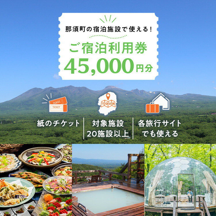 楽天トラベルでも使える那須温泉旅館協同組合　ご宿泊利用券45,000円分 宿泊 旅行 チケット クーポン 宿泊券 楽天トラベル 温泉 露天風呂 旅行券 温泉 ホテル 〔H-8〕