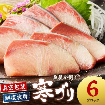 ふるさと納税 京丹後市 魚屋が捌く寒ブリ約1kg切り身　ロイン(6ブロック)冷凍