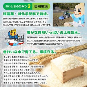 令和6年産 新米 あしずり黒潮米10kg（5kg×2袋）【コシヒカリ】精米 新米 白米 こめ コメ おコメ こしひかり ブランド米 10キロ 国産 送料無料 高知県【R01190】