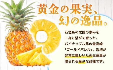 ≪5月上旬順次発送≫ 訳あり ゴールドバレル 中 3玉（約3.5kg） TP-19