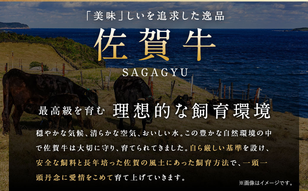 訳あり 佐賀牛 切り落とし 600g