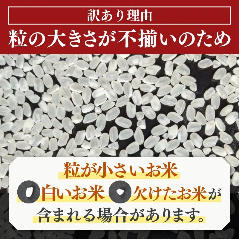 【訳あり】【数量限定】あわら市産 令和7年産 細雪米（コシヒカリ・ハナエチゼン・あきさかりのいずれか） 精米 10kg 《発送直前精米》 [aw012-a028]