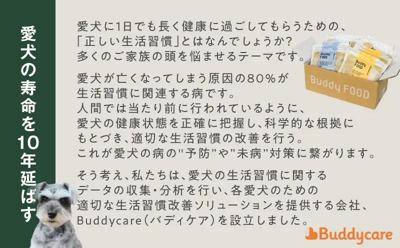 Buddy FOOD 人気6種 セットE K390-001_21 国産 魚 肉 ペットフード