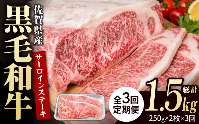 
【3回定期便】佐賀県産 黒毛和牛 贅沢 サーロインステーキ 250g×2枚（計500g）【株式会社いろは精肉店】/黒毛和牛 和牛 牛肉 肉 お肉 贅沢 高級 ステーキ [IAG087]
