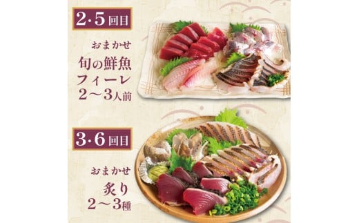 【定期便6回】 お刺身 定期便 6回