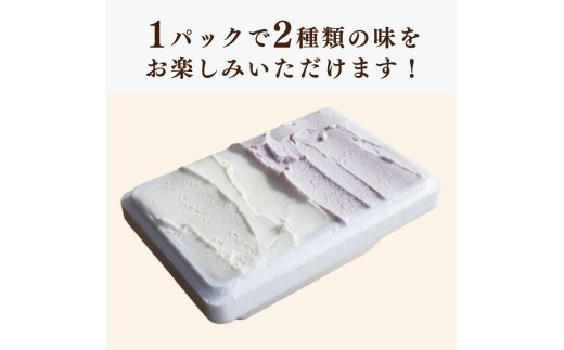 ジェラート イタリアンジェラート 1000ml ( 500ml × 2 ) 選べるフレーバー 4種 しぼりたて牛乳 チョコマーブル むらさきいも 抹茶 ヨーグルト あずき 塩キャラメル チョコミント 和三盆 アイスクリーム アイス シャーベット デザート スイーツ お菓子 洋菓子 おやつ 牛乳 ミルク ギフト プレゼント お取り寄せ グルメ 冷凍 徳島県 阿波市 イタリアンジェラートドルチェ