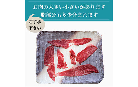 鹿児島県産黒毛和牛5等級切落し600g(水迫畜産/013-1291)牛肉 牛 国産