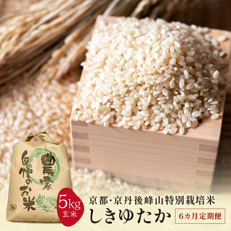 【ふるさと納税】【6ヶ月定期便】2026年産 京都・京丹後峰山 特別栽培米しきゆたか 5kg 【玄米】 ふるさと納税 米 定期便 玄米 しきゆたか お弁当 特別栽培 一等米 ふるさと納税 玄米 5kg 農家応援 送料無料