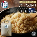 【ふるさと納税】 米 玄米 コシヒカリ 5kg 農薬7割減 特別栽培 安心 安全 ごはん 焼津 a18-071