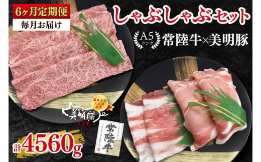 
                  【6ヶ月定期便】【常陸牛 A5ランク・美明豚しゃぶしゃぶセット】常陸牛肩ロース360ｇ＋美明豚400ｇ（ロース200ｇ・ばら200ｇ） 冷凍 国産牛 和牛 牛肉 豚肉 ブランド豚 茨城県 水戸市 食べ比べ セット商品 国産 老舗精肉店（EK-29_2）
                