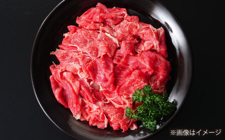 長崎和牛 切り落とし（赤身）280g 【佐世保エスディー食品株式会社】[DBW031]