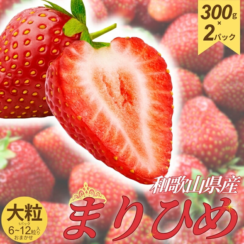 【ふるさと納税】 和歌山県産ブランドいちご【まりひめ】大粒系約300g×2パック入り【2026年12月中旬～2027年2月下旬頃順次発送予定】【TM89】 | 苺 いちご あまい フルーツ 果物 くだもの 食品 人気 おすすめ 送料無料