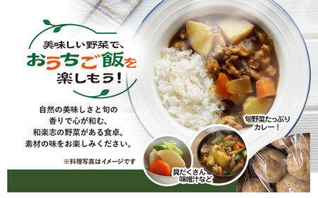 栽培期間中 農薬不使用　季節のお野菜セット  WGS001