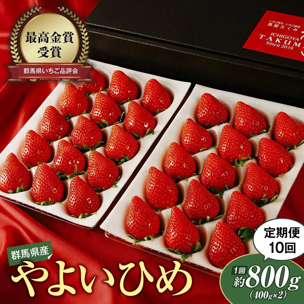 いちご 定期便10回分 やよいひめ 約800g いちご 群馬県 前橋市