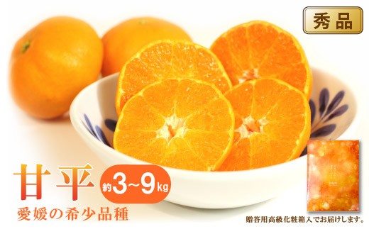 
                   甘平(かんぺい)＜秀品＞約3kg 6kg 9kg【2027年1月下旬頃から順次発送】【贈答用化粧箱入り】 | カンペイ 愛媛 蜜柑 柑橘 かんきつ みかん ミカン 甘平 かんぺい 果物 フルーツ くだもの グルメ お取り寄せ 送料無料 希少柑橘 愛媛県 松山市 
                