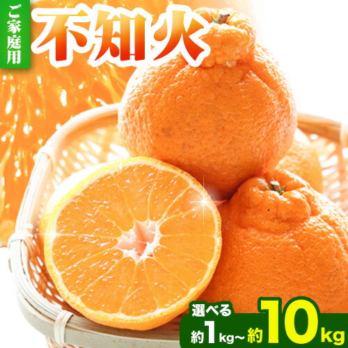 【ふるさと納税】 訳あり 不知火 デコポン 同品種 みかん ご家庭用 選べる 1kg 2.5kg 5kg 10kg 傷み補償分付き 池田鹿蔵農園 @日高町 《2026年2月上旬-3月末頃出荷》和歌山県 日高町 送料無料 しらぬい でこぽん 家庭用【配送不可地域あり】