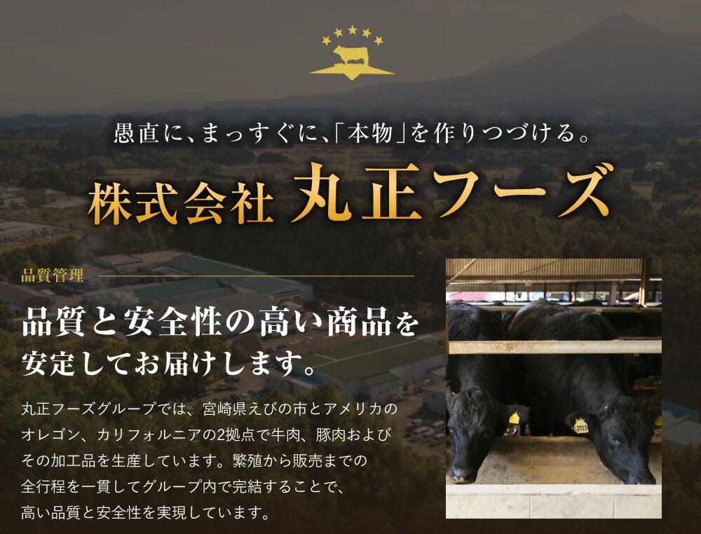 【720牧場グループ牛】自社牧場肉と国産野菜のビーフシチュー 170g×6パック 「720牧場グループ牛」100％使用 ビーフシチュー デミグラスソース 牛肉 惣菜 レトルト おかず 保存食 レンジ 