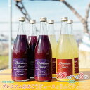 【ふるさと納税】プレミアム赤ぶどうジュースとりんごジュース（720ml×各3本 計6本）《佐藤果樹園》 飲料類 果汁飲料 りんご ぶどう リンゴジュース