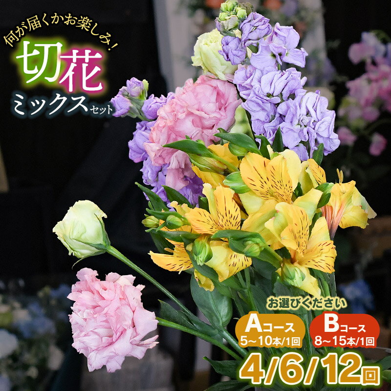 【ふるさと納税】何が届くかお楽しみ★鶴岡産切花ミックスセット　お選びください［Aコース(5～10本) / Bコース(8～15本)］［お届け回数：4・6・12回］　花蔵（HANAZO）　　K-733・K-756