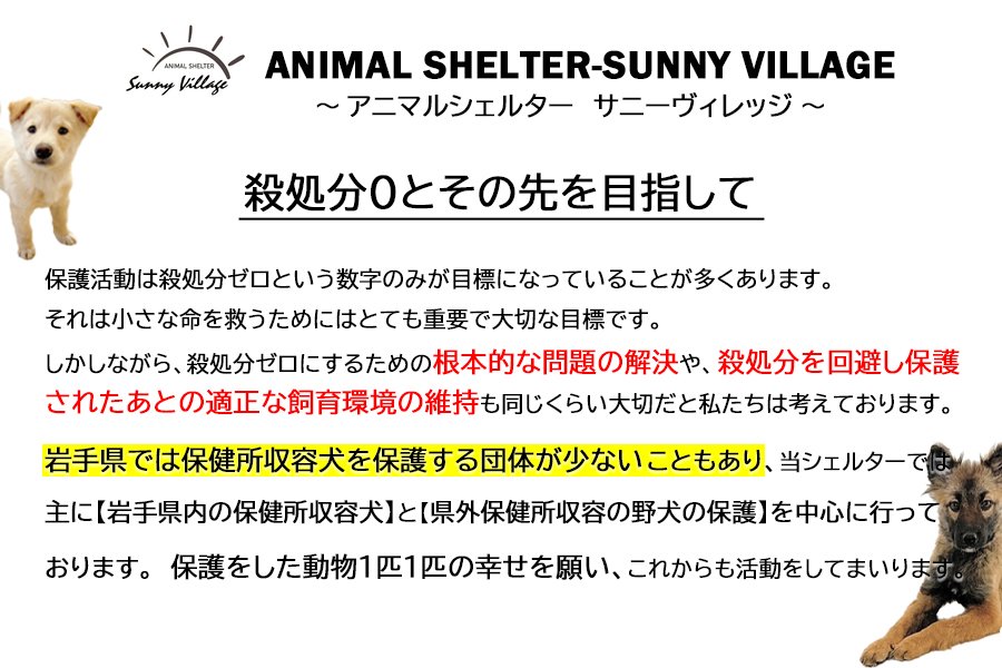 【お礼品なし】殺処分ゼロとその先を目指して！　動物保護シェルターへの応援寄附　300,000円_イメージ2