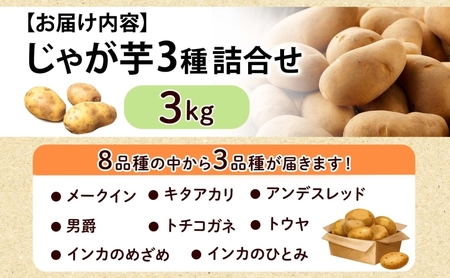 のざわ農園 じゃがいも詰め合わせセット 3kg メークイン ダンシャク トウヤ トカチゴカネ キタアカリ アンデスレッド インカのめざめ インカのひとみ いも 芋 じゃがいも 野菜 送料無料 北海道 