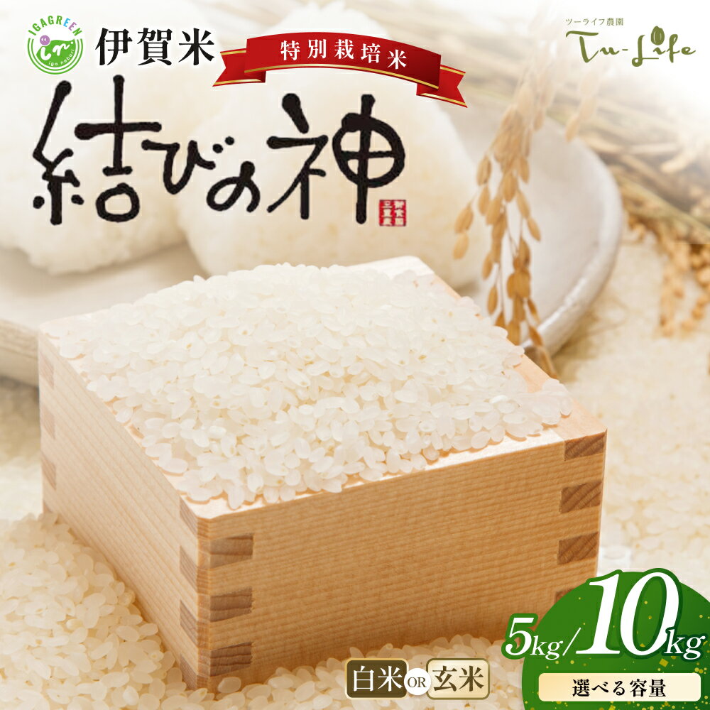 【ふるさと納税】伊賀米 結びの神 特別栽培米 白米 玄米 5kg ～ 10kg / 伊賀地域で栽培される希少な厳選米 大粒でふっくらとした炊きあがり! もっちりとした食感で上品な味わい! えらべる 三重23号 令和7年産 送料無料