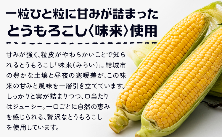 ビール ゆうきみらいエール 330ml × 6本 株式会社結城麦酒《30日以内に出荷予定(土日祝除く)》茨城県 結城市 ビール 酒 エール クラフトビール 瓶 国産