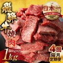 【ふるさと納税】【訳あり】定期便 飛騨牛 焼肉 切り落とし 500g × 2 計 1kg 4回隔月お届け | 定期便 お楽しみ 牛肉 肉 切落し 和牛 国産牛 黒毛和牛 牛肉 肉 わけあり ワケアリ 不揃い 小分け 冷凍 本巣市 トキノ屋 食品 訳有 [mt451] 100000円