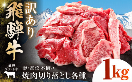 【訳あり】 飛騨牛 焼肉 切り落とし 1kg(500g×2パック) 多治見市 / 飛騨高山ミート MZ036 冷凍 真空パック ブランド和牛[THP027]