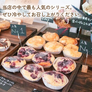 【定期便】 3回 生ベーグル おまかせ 5個 セット ベーグル