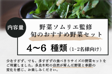 【数量限定】野菜ソムリエ 監修 旬の おすすめ 野菜 セット 4～6品 (1-2名様向け)  熊本県 多良木町 024-0801