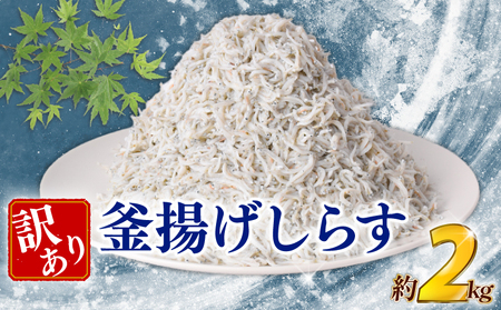 訳あり 釜揚げしらす 約2kg 【しらす】