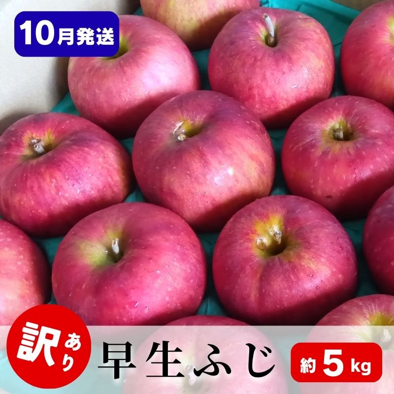 【ふるさと納税】りんご【10月発送】訳あり 早生ふじ 約5kg 青森県 りんご リンゴ 林檎 フルーツ くだもの 果物 青森県 りんご デザート 旬の果物　お届け：2025年10月上旬～2025年10月中旬