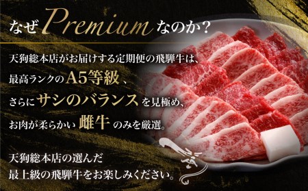 天狗総本店 A5飛騨牛 定期便 全4回 約1.5kg ( 300g 以上 × 4ヶ月 ) ( 焼肉 すき焼き しゃぶしゃぶ サイコロステーキ ) | 牛肉 食べ比べ A5 岐阜 高山市 飛騨高山 岐阜