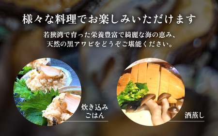 日本海若狭湾の天然黒アワビ 約500g（2～5個） あわび アワビ 鮑 クロアワビ 黒あわび 冷凍・加熱用【 2024年8月31日まで発送】[m17-b001]