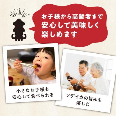 ふるさと納税 和泊町 冷凍保存OK!エメラルドブルーの美しい海で育ったおいしいソデイカ冷凍ブロック約1キロ |  | 01