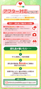 苺 とちあいか ３L以上ホール詰め 【定期便3回】【先行予約】 | 栃木県 下野市