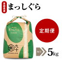 【ふるさと納税】【 選べる 定期便 】 米 まっしぐら 毎月5kg 令和6年産 青森県産 3回 15kg 6回 30kg 9回 45kg 12回 60kg 精米 白米こめ コメ ごはん ライス ブランド米 贈答 贈り物 国産 国内産 東北 青森県 五所川原市 青森 五所川原 【PEBORA】