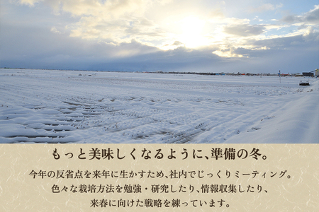 【定期便6ヶ月毎月お届け】新潟県産 新之助 精米5kg 《5kg×1袋》 新潟 ブランド米 加茂市 加茂ユナイテッド