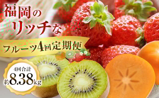 福岡のリッチなフルーツ4回定期便【2025年10月下旬～2026年1月下旬発送予定】 秋王 柿 かき カキ 甘うぃ キウイ いちご イチゴ 苺 あまおう 大きい 大粒 あまい 甘い 果汁 果物 フルーツ 高級 8.38kg