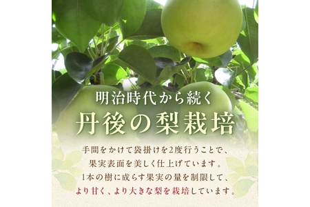 【先行予約／数量限定150】20世紀梨 5kg（2026年9月上旬～発送）