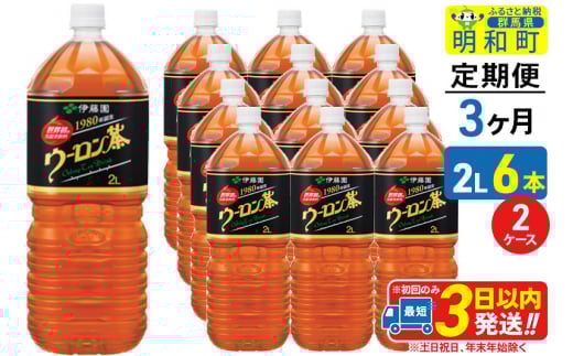 《定期便3ヶ月》ウーロン茶 伊藤園 ＜2L×6本＞【2ケース】