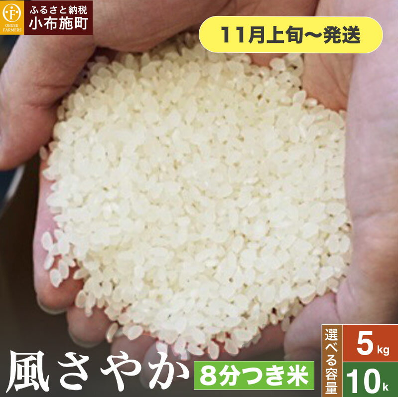 【ふるさと納税】 風さやか 8分つき米 約5kg 約10kg 選べる容量［おぶせファーマーズ］ 8分づき米 お米 米 おこめ こしひかり 長野県産【2025年11月上旬～発送】